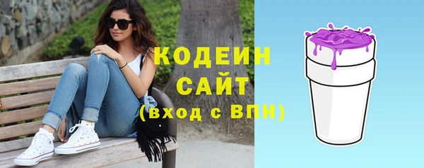 дживик Бородино