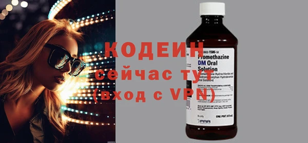 дживик Бородино