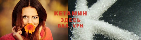 дживик Бородино