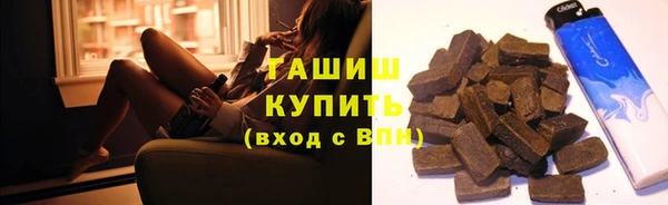 дживик Бородино