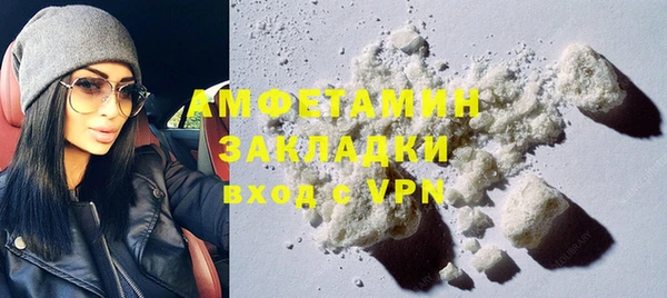 дживик Бородино