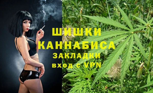 дживик Бородино