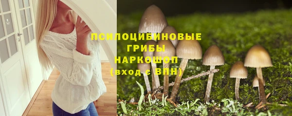 дживик Бородино