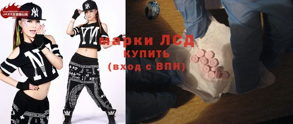 дживик Бородино