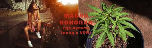 дживик Бородино