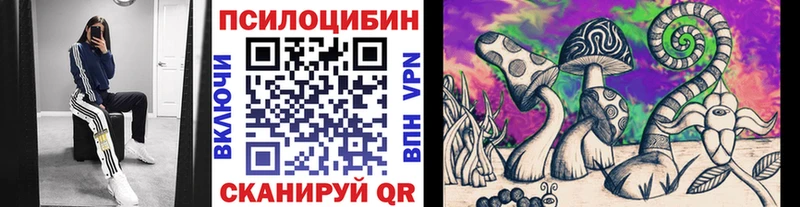Галлюциногенные грибы ЛСД  Купить закладки  Лагань 